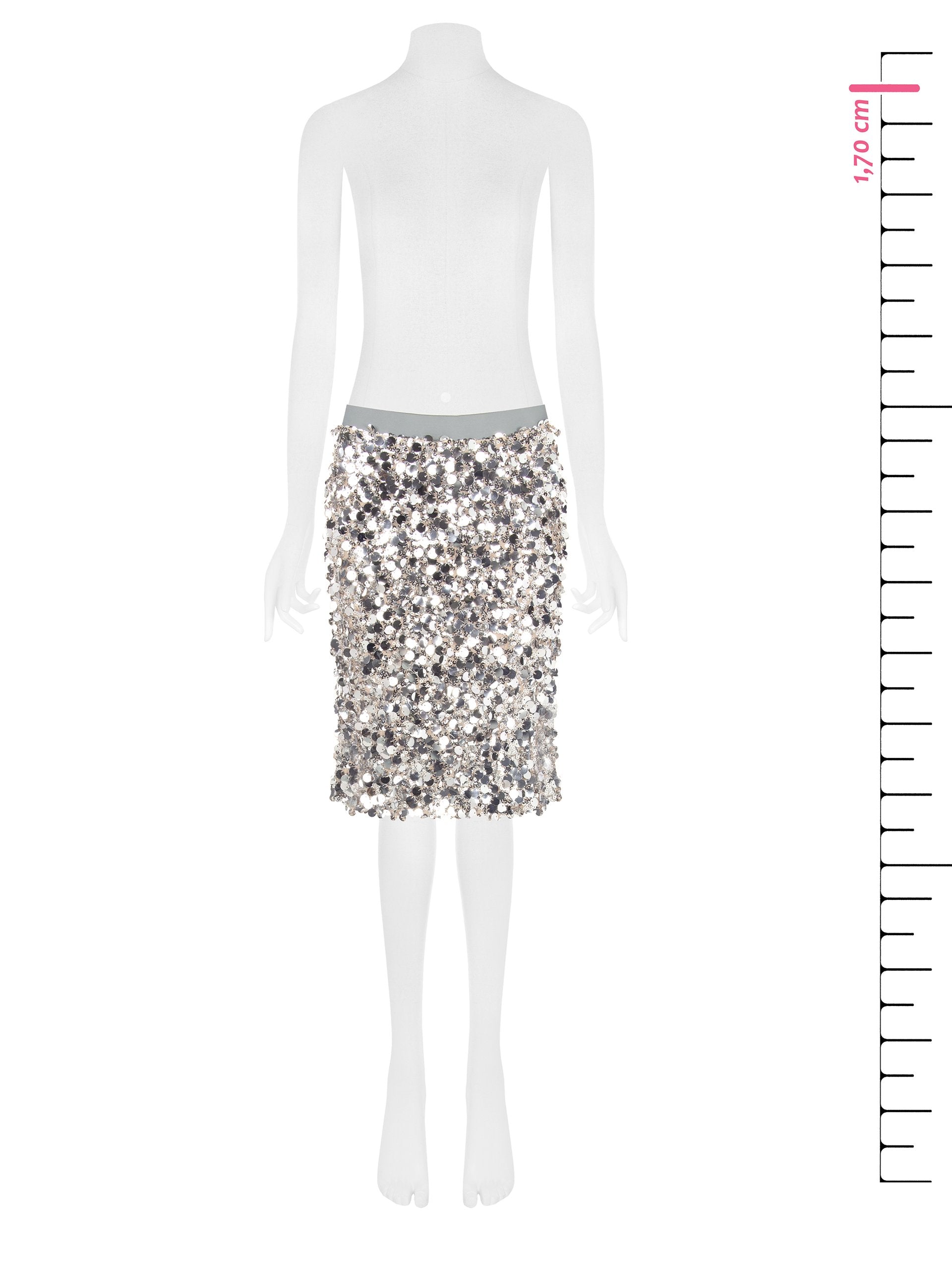 Sequin Detail Skirt