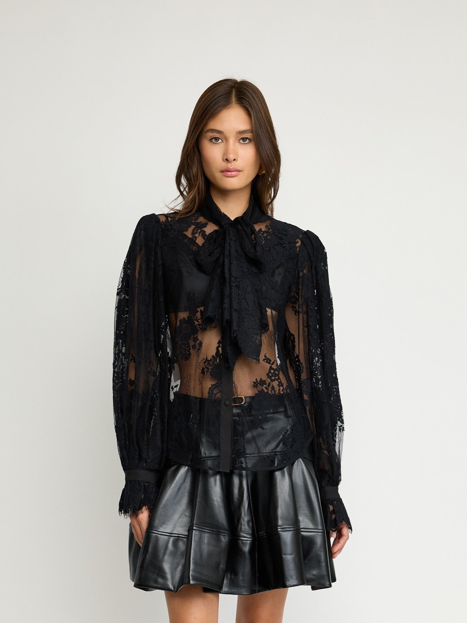 Sheer Lace Blouse with Tie Neck