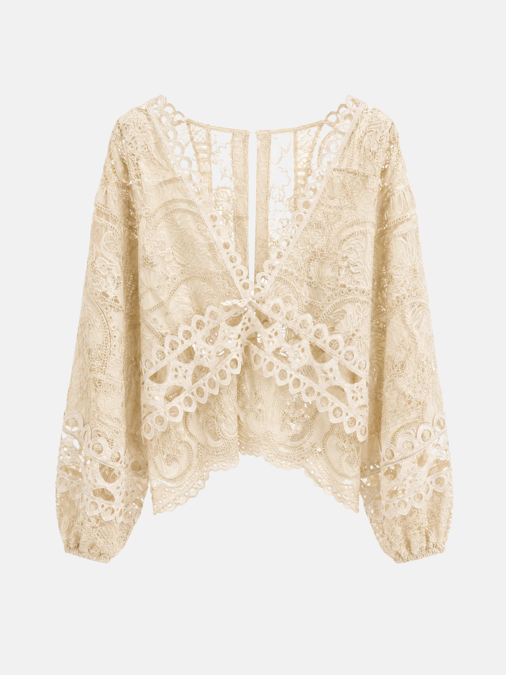 Embroidered Lace Blouse