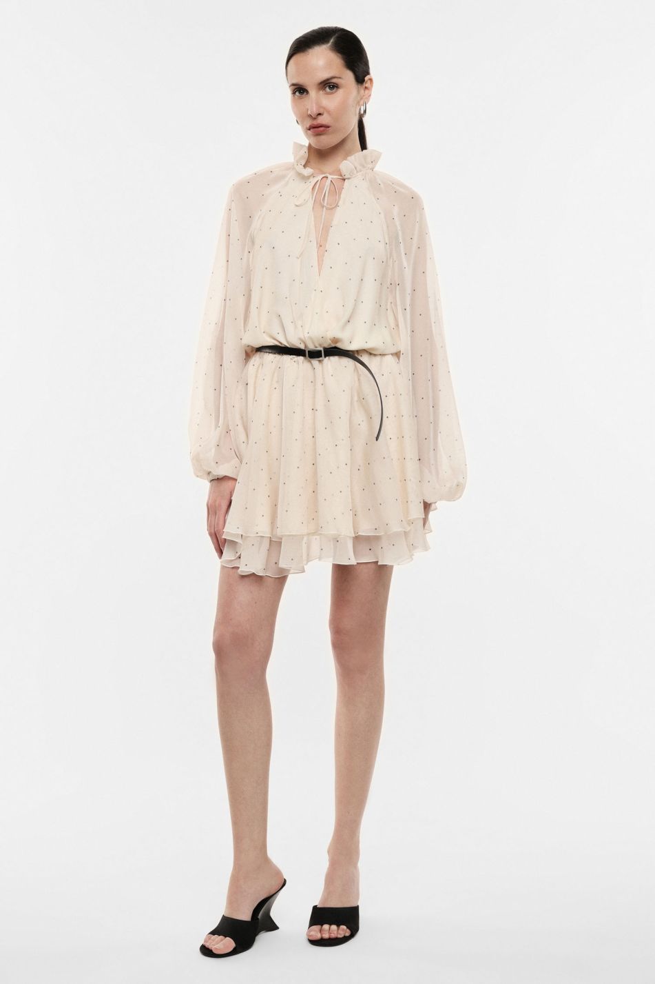 Sheer Ruffle Mini Dress