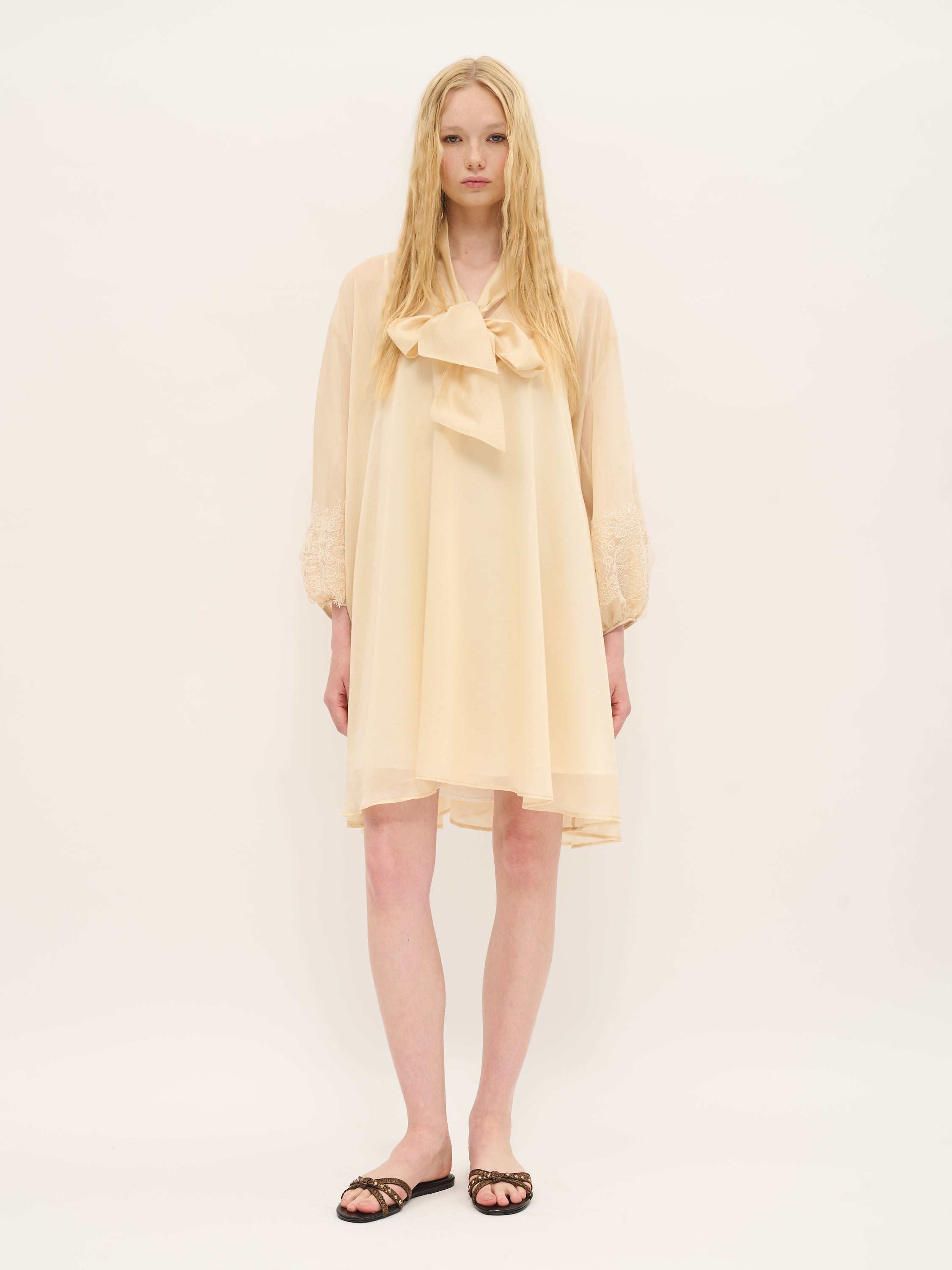 Sheer Tie-Neck Swing Dress