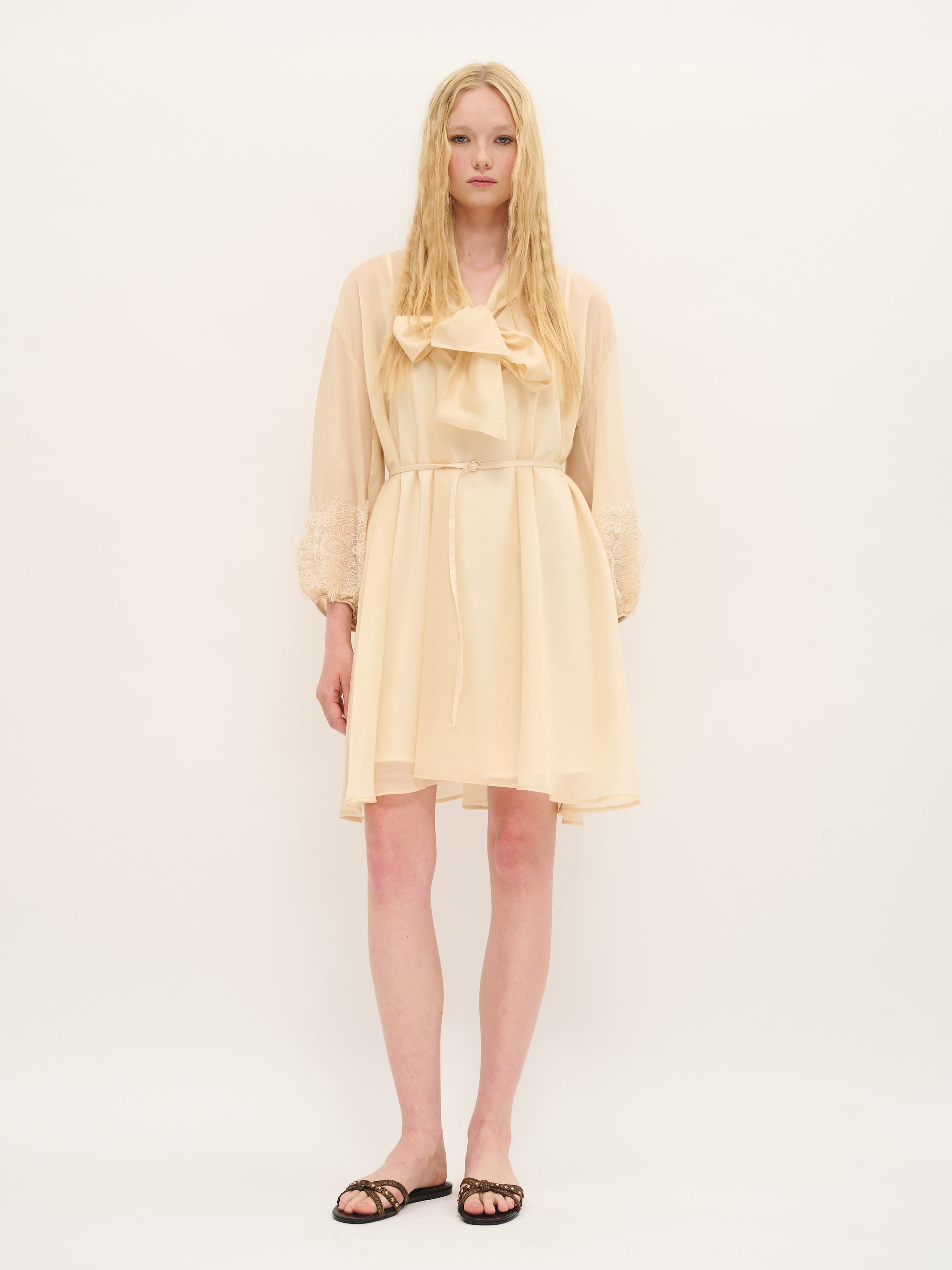 Sheer Tie-Neck Swing Dress