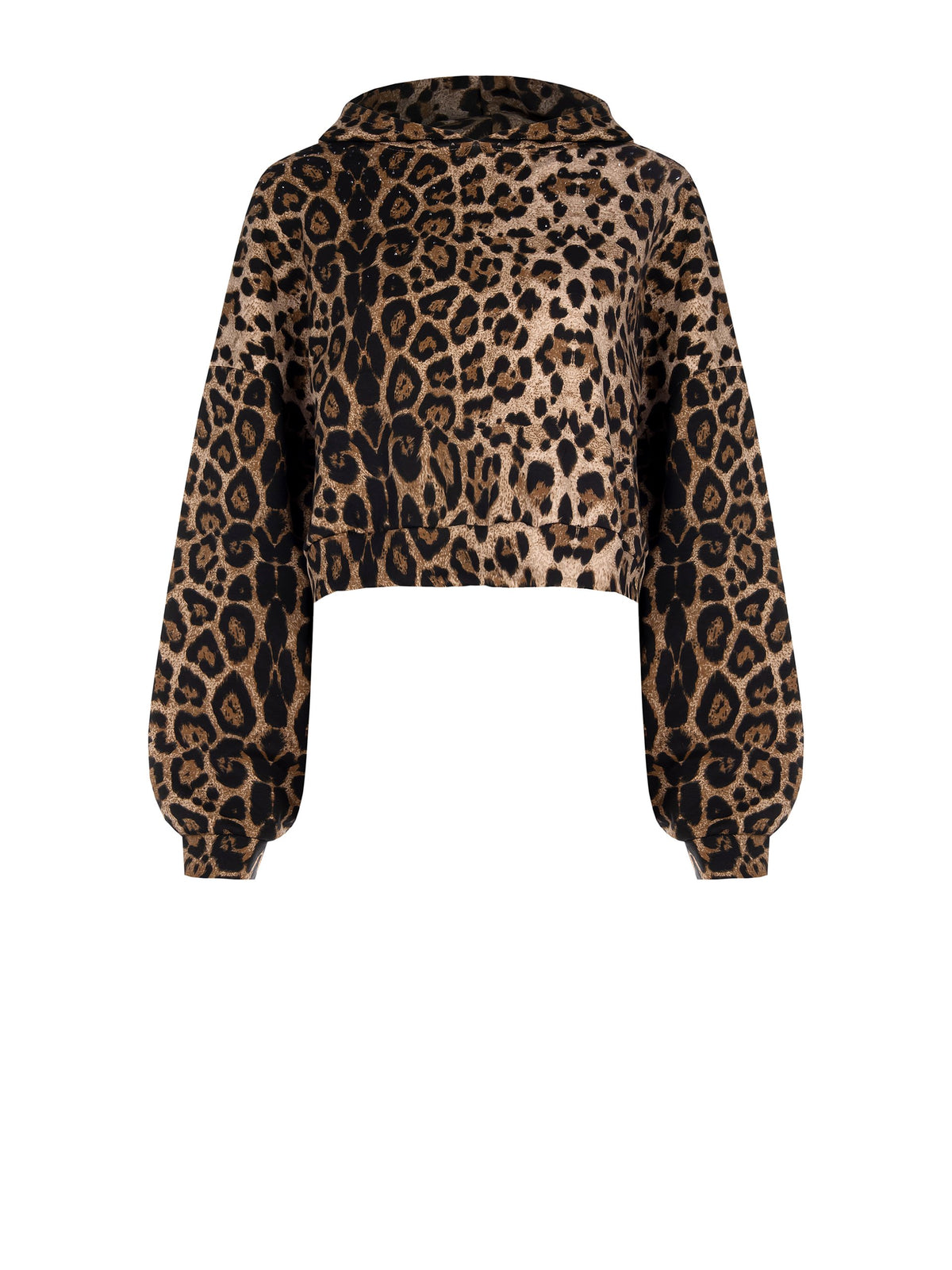 Leopard Sweatshirt