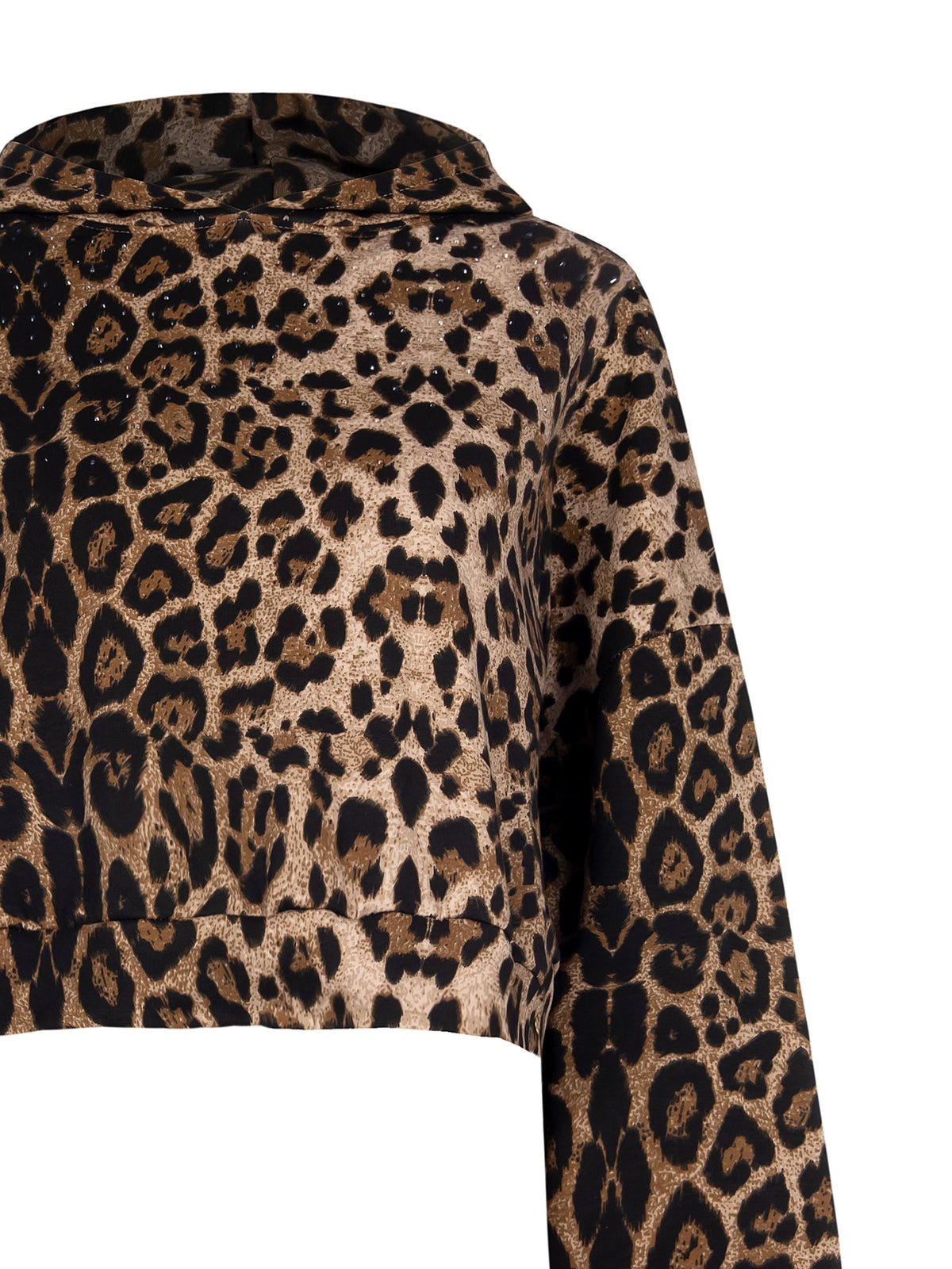 Leopard Sweatshirt