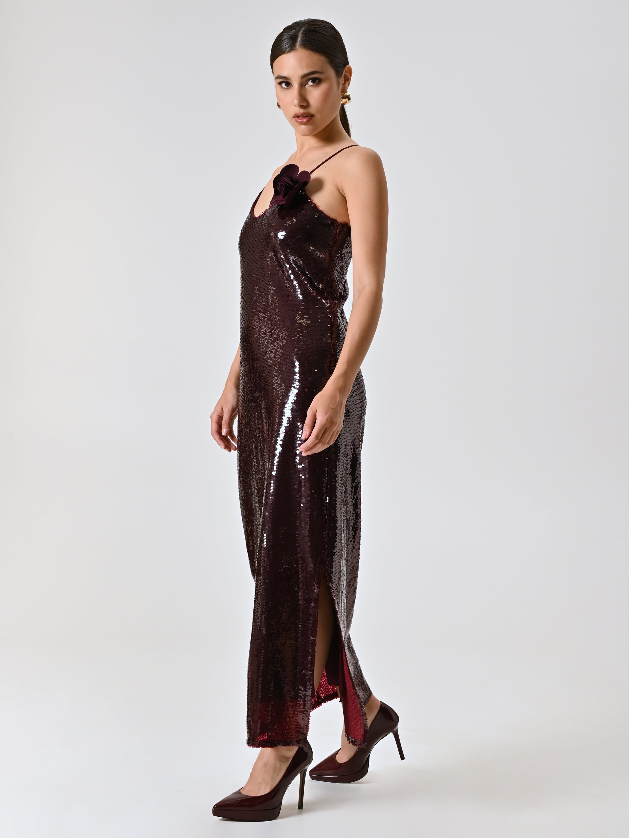 Burgundy Dress Covered in Sequins