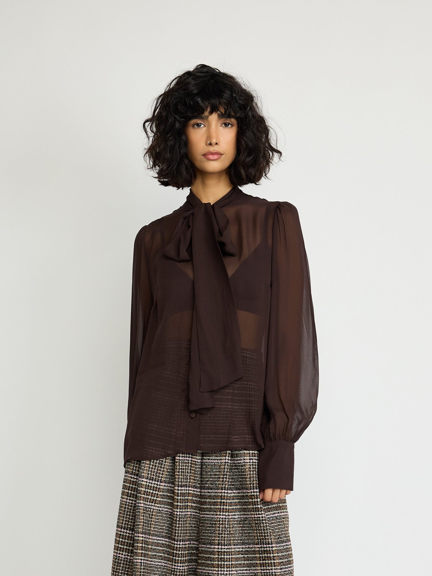 The Sheer Tie-Neck Blouse