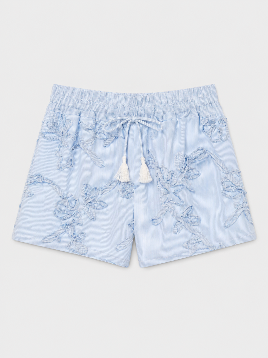 Light Blue Embroidered Shorts