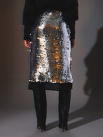Silver sequins skirt